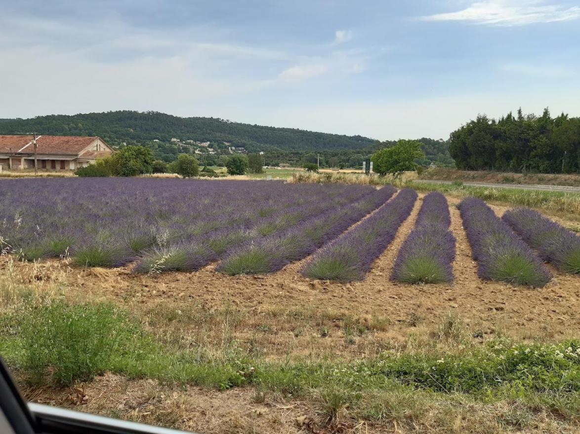 Maison De Famille Entre Vigne Et Lavande Verfeuil 外观 照片